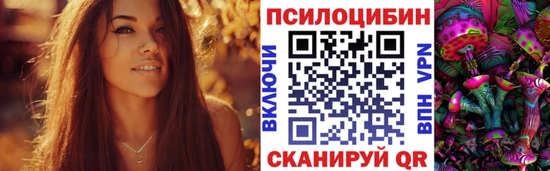 Псилоцибиновые грибы Psilocybe  Купить  Бокситогорск 